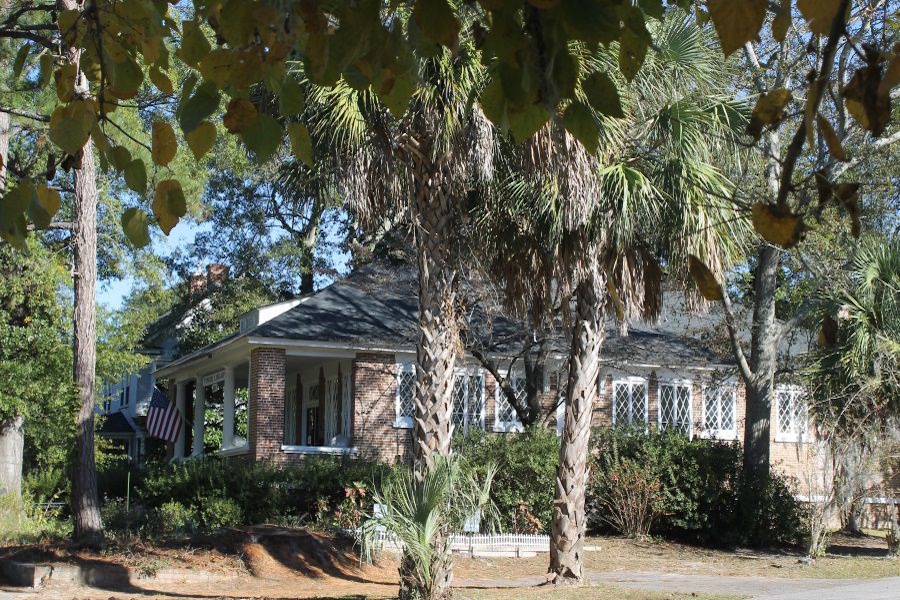 Timrod-Library-view-from-Pike-Hole